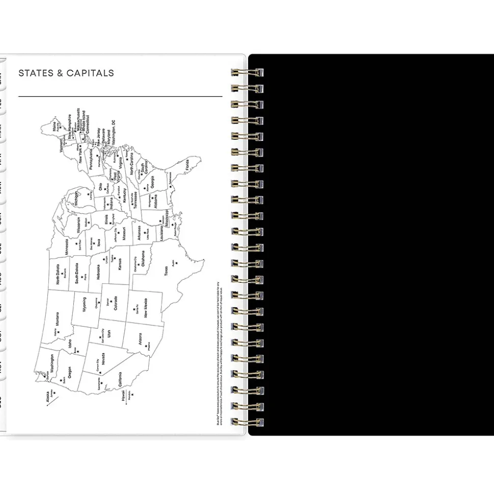 2025 Blue Sky Petiti 5" x 8" Weekly & Monthly Planner, Plastic Cover, Multicolor (152243)