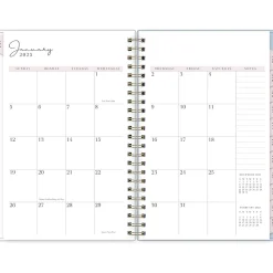 2025 Blue Sky Rachel Parcell Parcella 5