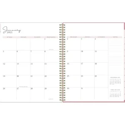 2025 Blue Sky Rachel Parcell Rose 8.5