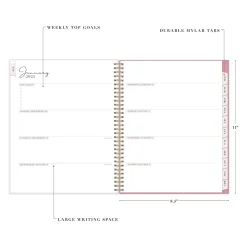 2025 Blue Sky Rachel Parcell Rose 8.5