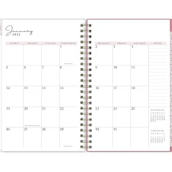 2025 Blue Sky Rachel Parcell Rose 5