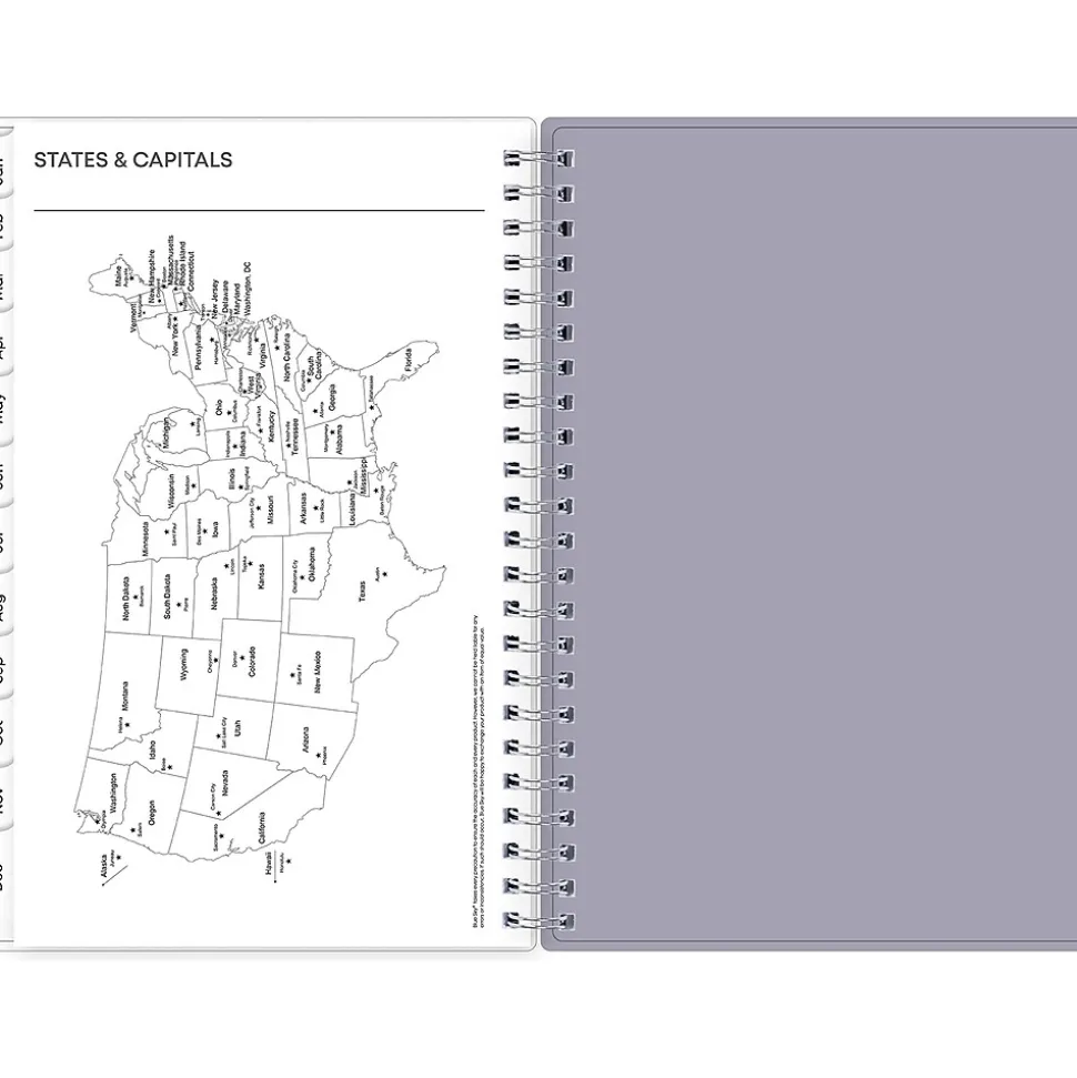 2025 Blue Sky Rue Du Flore 5" x 8" Weekly & Monthly Planner, Plastic Cover, Green/Purple (101603-25)