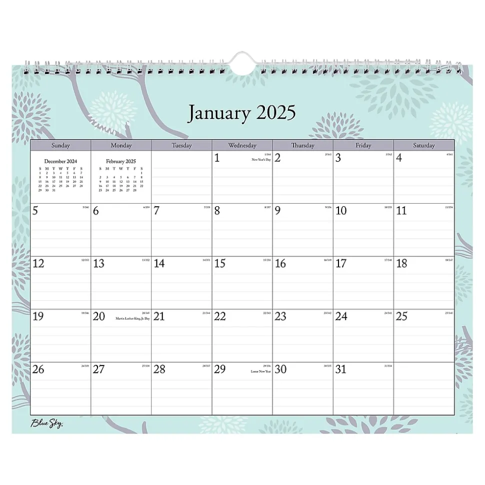2025 Blue Sky Rue Du Flore 15" x 12" Monthly Wall Calendar, Blue/Purple (101611-25)
