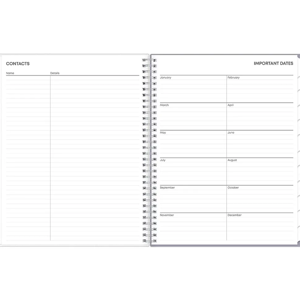 2025 Blue Sky Rue Du Flore 8.5" x 11" Weekly & Monthly Planner, Plastic Cover, Green/Gray (101602-25)