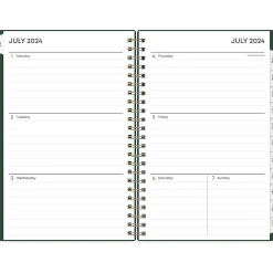 2024-2025 Blue Sky Shining Sky 5" x 8" Academic Weekly & Monthly Planner, Plastic Cover, Green/Gold (150003)