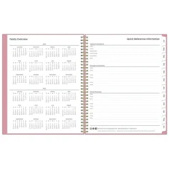 2024-2025 Blue Sky Teacher Lesson 8.5