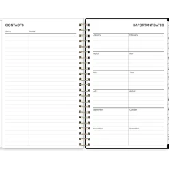 2025 Blue Sky Vonnie 5