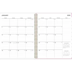 2025 Blue Sky Wednesday Stripe 8.5