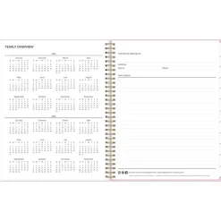 2025 Blue Sky Wednesday Stripe 8.5