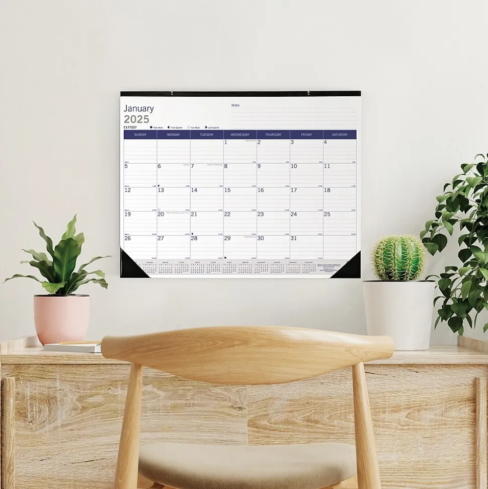 2025 Blueline DuraGlobe 22" x 17" Monthly Desk Pad Calendar, White/Blue (C177227)