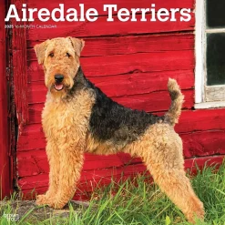 2025 BrownTrout Airedale Terriers 12" x 12" Monthly Wall Calendar (9781975476472)
