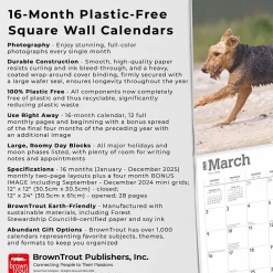 2025 BrownTrout Airedale Terriers 12