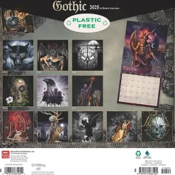 2025 BrownTrout Alchemy Gothic 12" x 12" Monthly Square Wall Calendar (9781975483104)