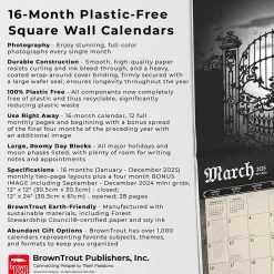 2025 BrownTrout Alchemy Gothic 12