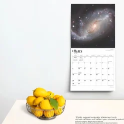 2025 BrownTrout Astronomy 12