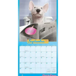 2025 BrownTrout Avanti Livin' the Dream 12