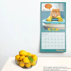 2025 BrownTrout Avanti Livin' the Dream 12