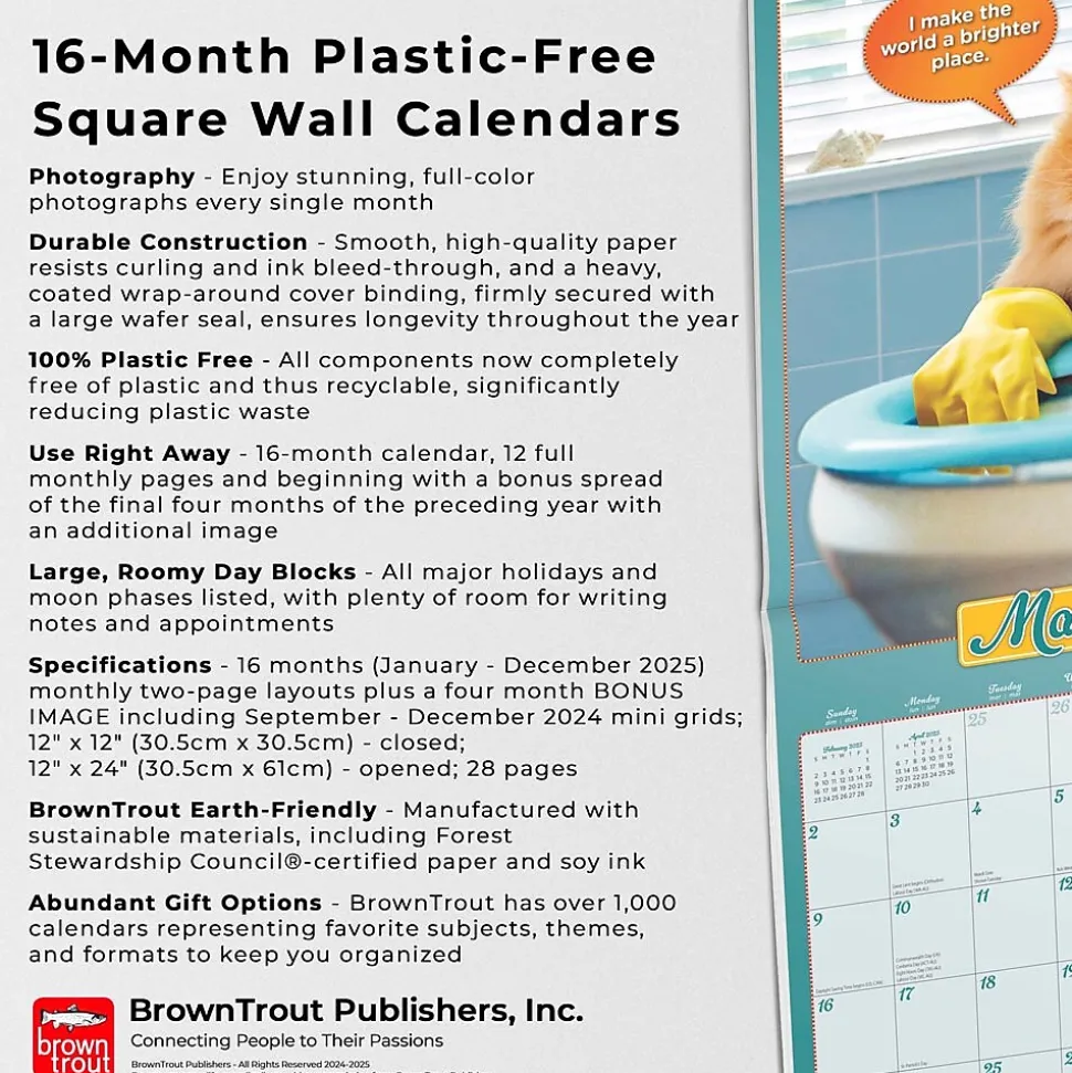 2025 BrownTrout Avanti Livin' the Dream 12" x 12" Monthly Square Wall Calendar (9781975479695)