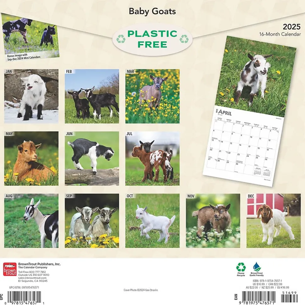 2025 BrownTrout Baby Goats 12" x 12" Monthly Wall Calendar (9781975476571)