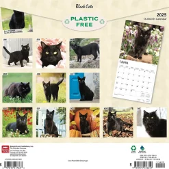 2025 BrownTrout Black Cats 12" x 12" Monthly Wall Calendar (9781975476649)