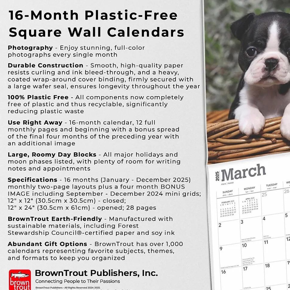 2025 BrownTrout Boston Terrier Puppies 12" x 12" Monthly Wall Calendar (9781975476694)