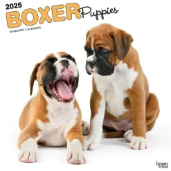 2025 BrownTrout Boxer Puppies 12" x 12" Monthly Wall Calendar (9781975476717)