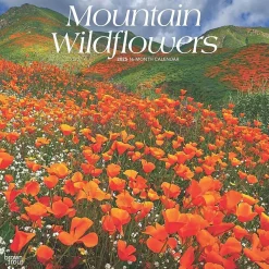 2025 BrownTrout Mountain Wildflowers 12" x 12" Monthly Square Wall Calendar (9781975476038)