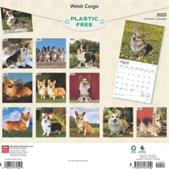 2025 BrownTrout Welsh Corgis 12" x 12" Monthly Wall Calendar (9781975477950)