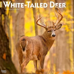 2025 BrownTrout White Tailed Deer 12" x 12" Monthly Wall Calendar (9781975477998)