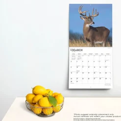 2025 BrownTrout White Tailed Deer 12