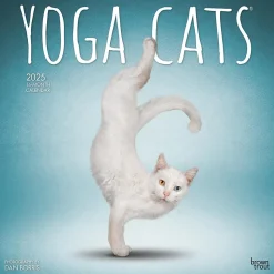 2025 BrownTrout Yoga Cats 12" x 24" Monthly Square Wall Calendar, (9781975479862)