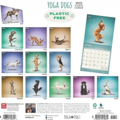 2025 BrownTrout Yoga Dogs 12" x 12" Monthly Wall Calendar (9781975479879)