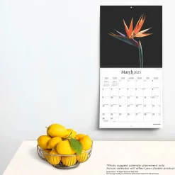 2025 Brush Dance In the Garden 12