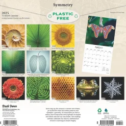 2025 Brush Dance Symmetry 12" x 12" Monthly Wall Calendar (9781975481445)