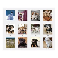 2025 House of Doolittle Earthscapes Puppies 8.5" x 4.25" Monthly Desk Calendar (3659-25)