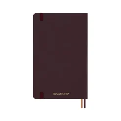 2025 Moleskine Limited Edition Harry Potter Accio 5