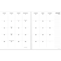 2025 TF Publishing 9" x 11" Wacky and Wavy Large Monthly Planner 25-4716