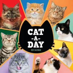 2025 TF Publishing 12" x 12" Cat-A-Day Wall Calendar (25-1002)