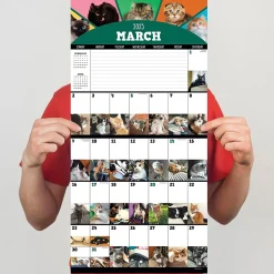 2025 TF Publishing 12