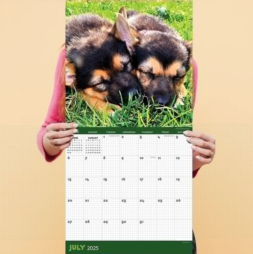 2025 TF Publishing 12" x 12" Dog Dreams Wall Calendar (25-1010)
