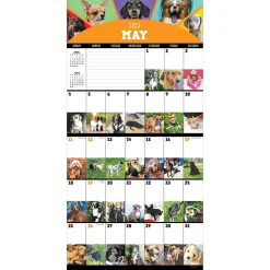 2025 TF Publishing 12