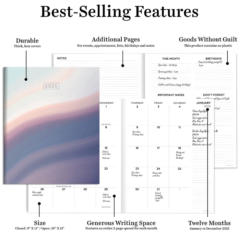 2025 TF Publishing 9" x 11" Monthly Planner, Paperboard Cover, Hazy and Purple (25-4706)