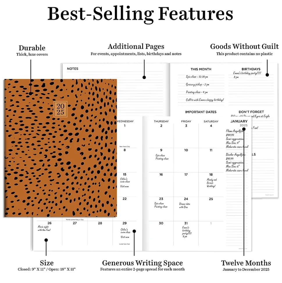 2025 TF Publishing 9" x 11" Monthly Planner, Paperboard Cover, Always Animal Print (25-4700)