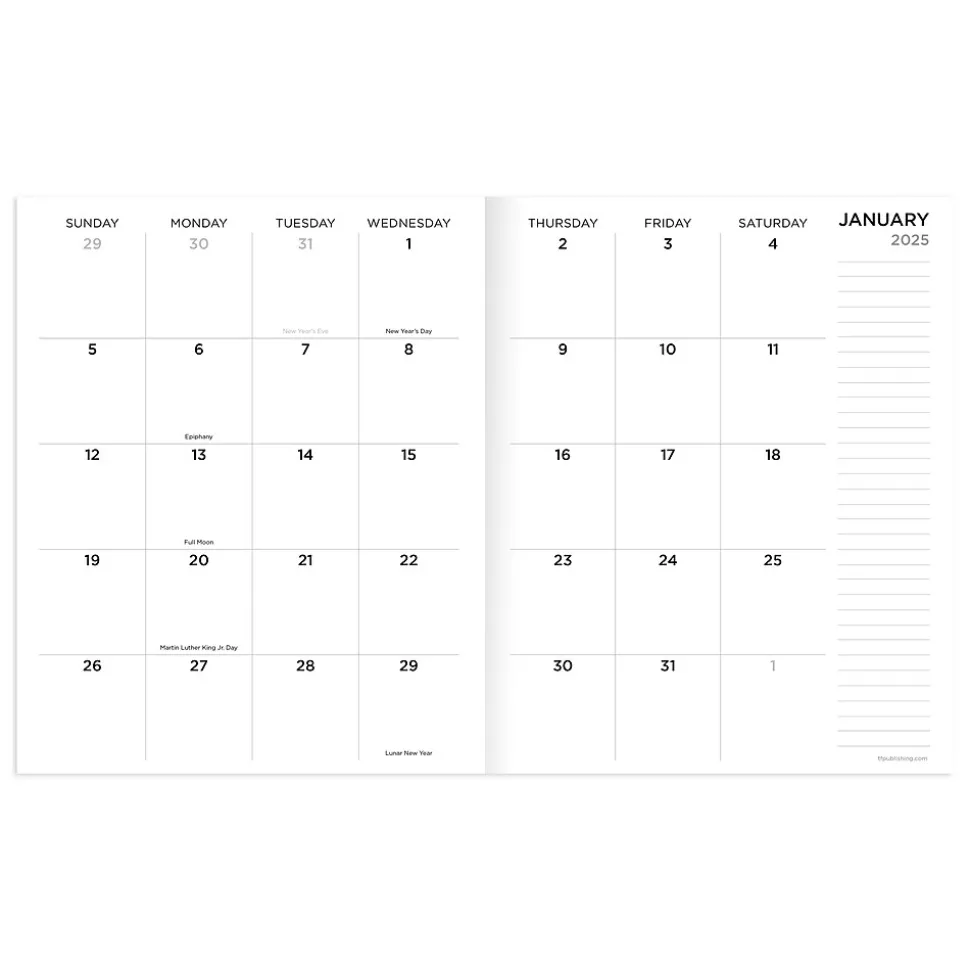 2025 TF Publishing 6.5" x 8" Monthly Planner, Paperboard Cover, This is Bananas (25-4216)