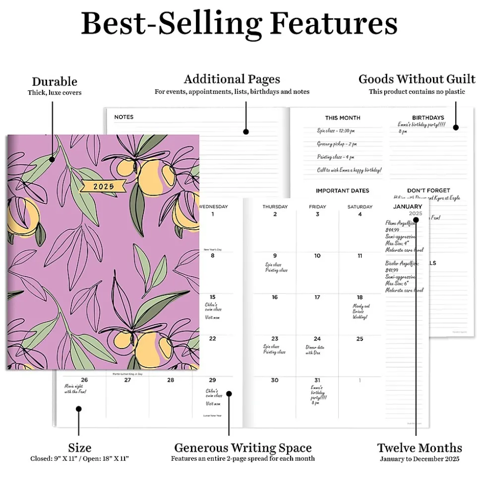 2025 TF Publishing 9" x 11" Monthly Planner, Paperboard Cover, Lemon and Lavender (25-4710)