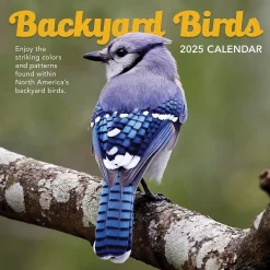 2025 TF Publishing Backyard Birds 12" x 12" Monthly Wall Calendar (25-1033)