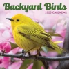 2025 TF Publishing Backyard Birds 7" x 7" Monthly Wall Calendar (25-2013)