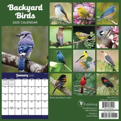 2025 TF Publishing Backyard Birds 7" x 7" Monthly Wall Calendar (25-2013)
