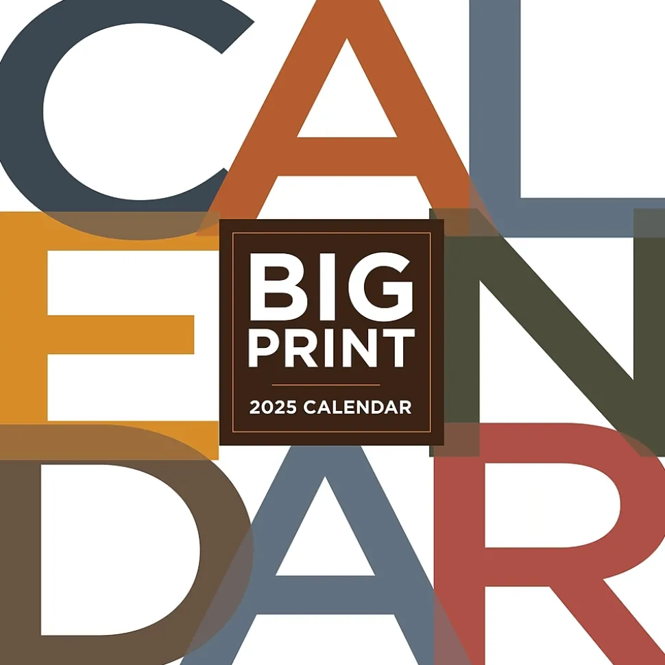 2025 TF Publishing Big Print 12" x 12" Monthly Wall Calendar (25-1104)