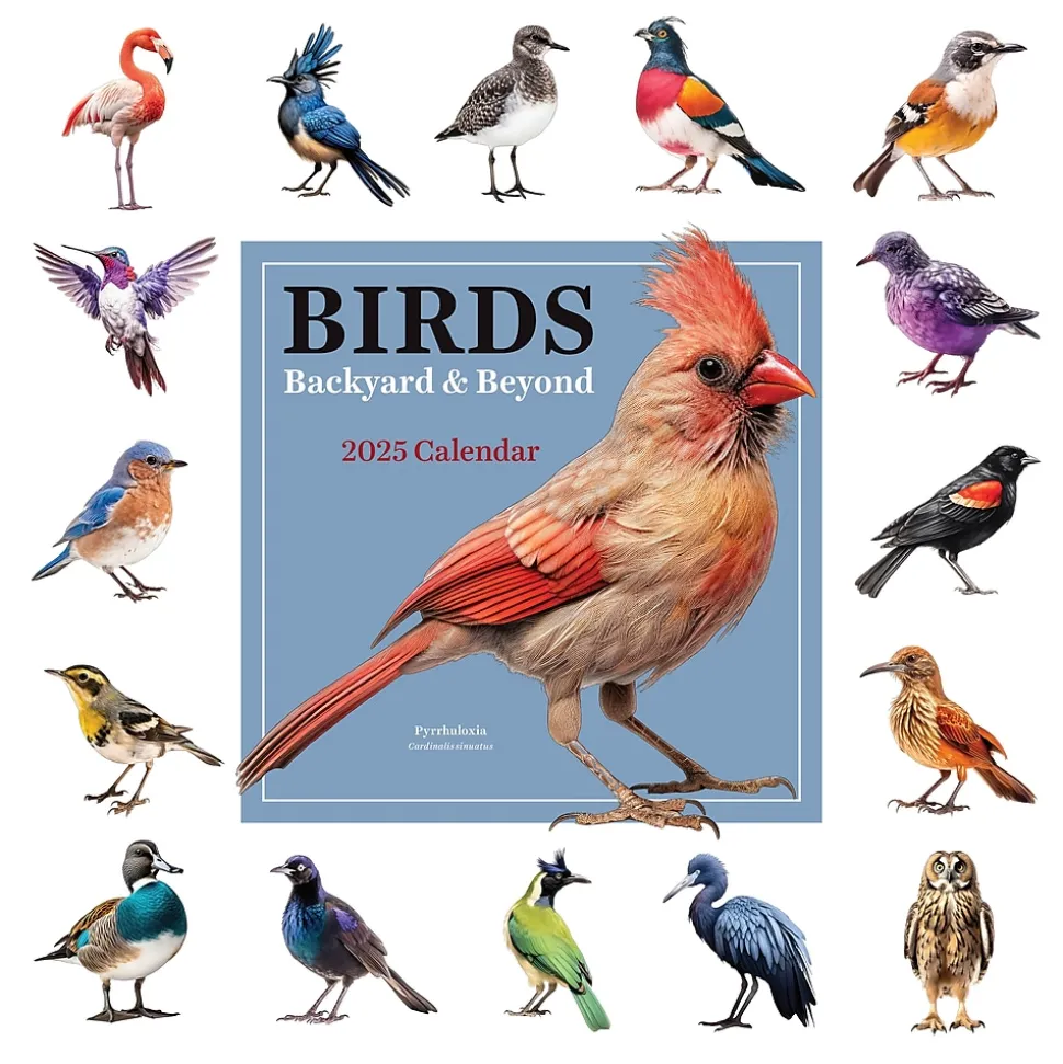 2025 TF Publishing Birds: Backyard and Beyond 12" x 12" Monthly Wall Calendar (25-1121)